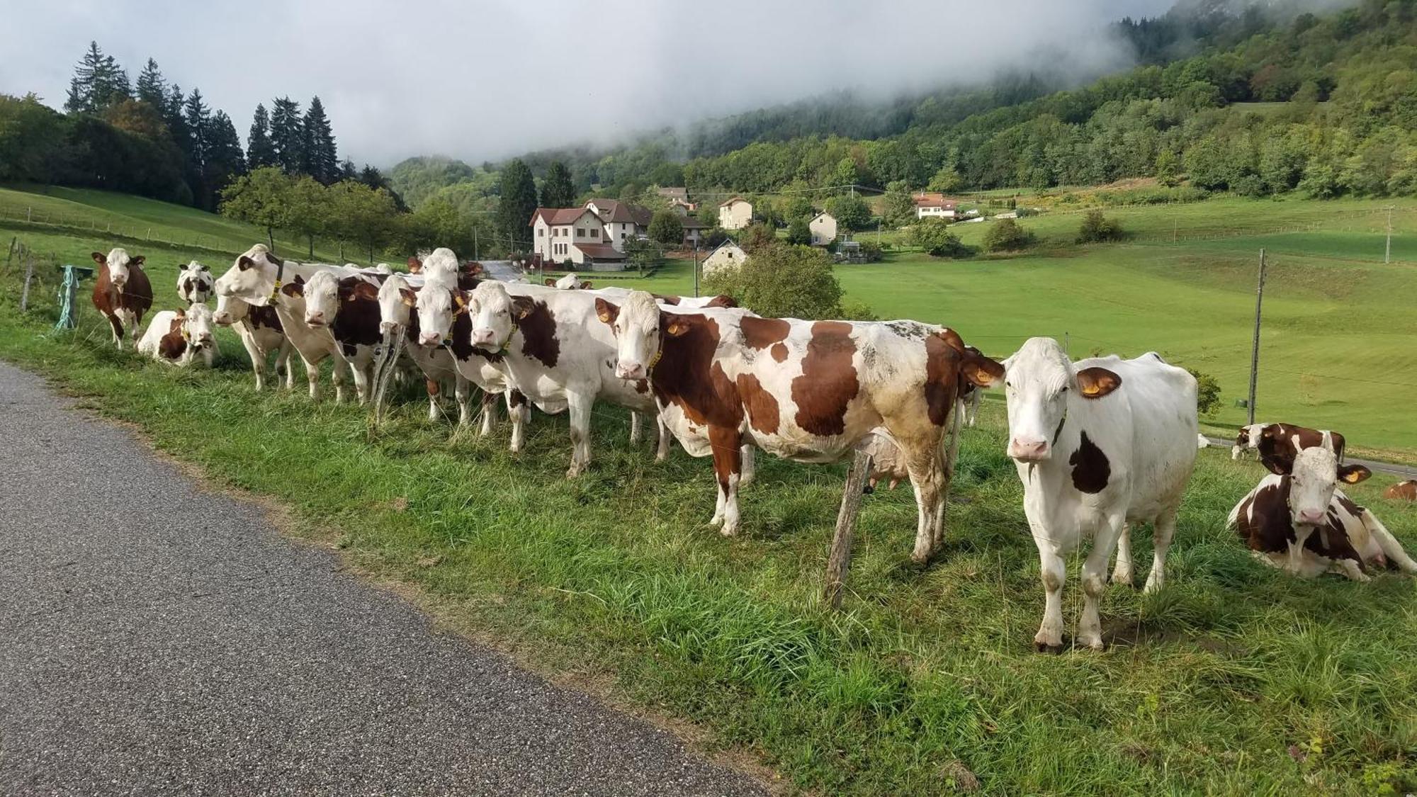 Sainte-Marie-D'Alvey Un Pied Devant L'Autre מראה חיצוני תמונה