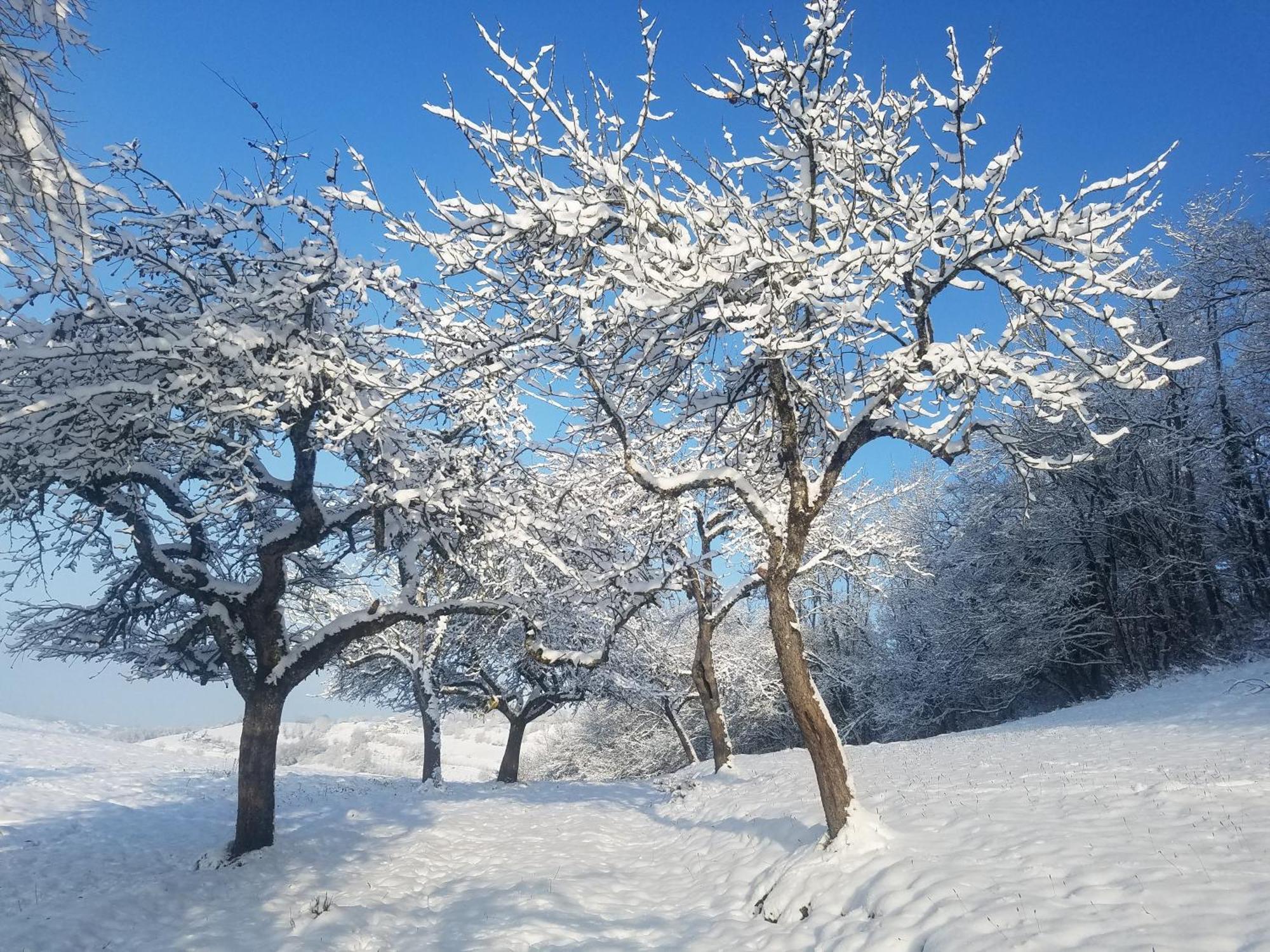 Sainte-Marie-D'Alvey Un Pied Devant L'Autre מראה חיצוני תמונה